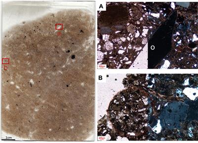 Site formation process of the Dadong Paleolithic site in Jilin province, China: A geoarchaeological approach